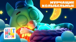Мурчащие колыбельные Котёнка Мур | Цветняшки песенки для сна | сборник для малышей