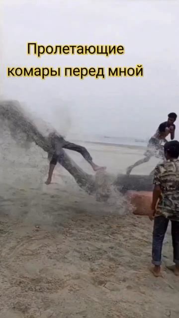 лес смотреть онлайн