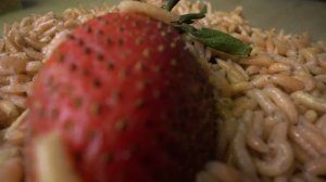 ЗА СКОЛЬКО МИНУТ ОПАРЫШИ СЪЕДЯТ БУРГЕР?