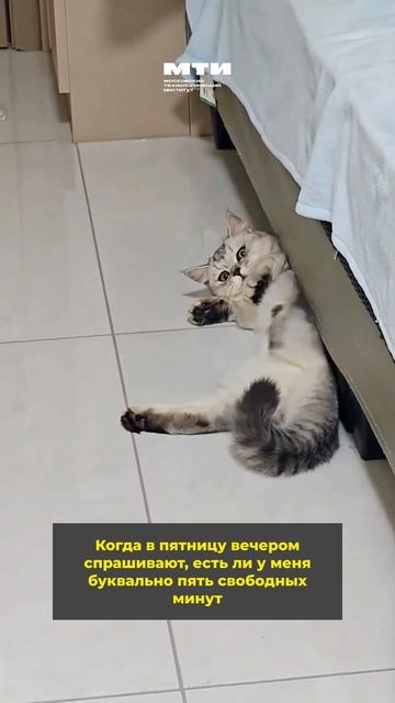 😘 Как готовитесь к сегодняшнему вечеру?