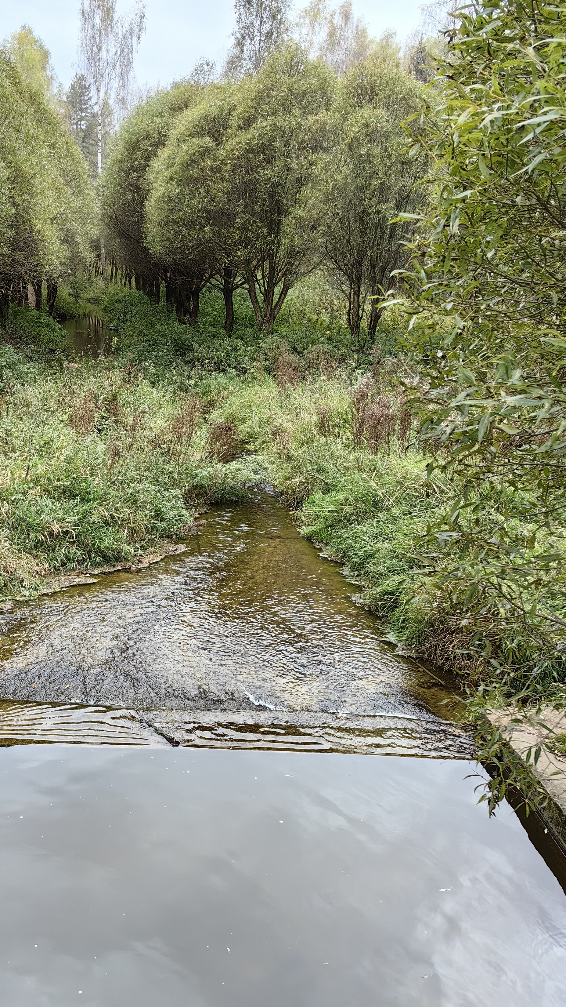 #Речка смотреть онлайн