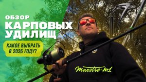 Карповое удилище за 6–8 тыс. ₽ — какое выбрать? ОБЗОР