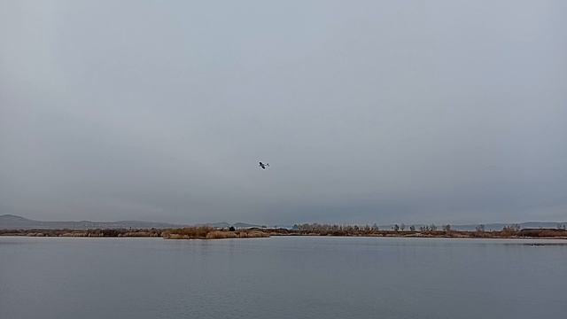 Авиа и авто. Судомоделисты и таак могут)) смотреть онлайн