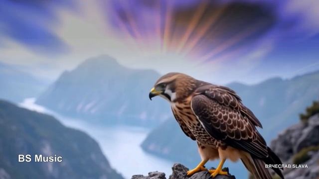 Айгор - Два крыла 2025 смотреть онлайн