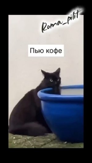 #работа #смех #юмор #ржака