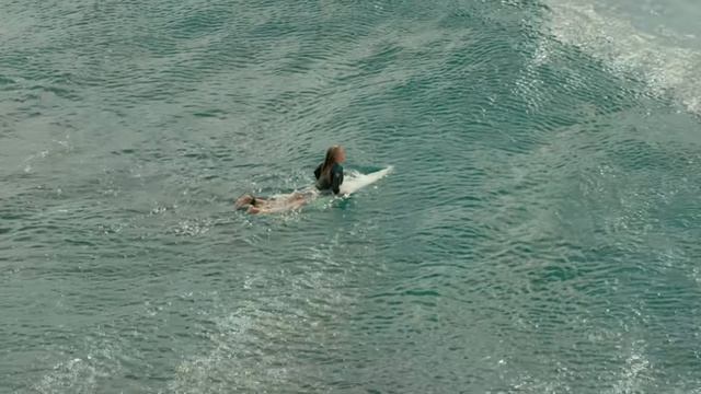 ‣ Sia – Bird Set Free [The Shallows]