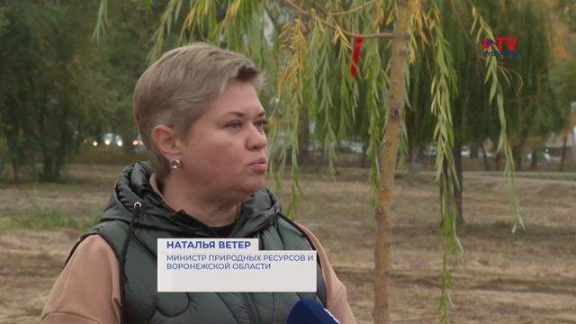 На Петровской набережной появится воронежский «Парк Малевича» смотреть онлайн