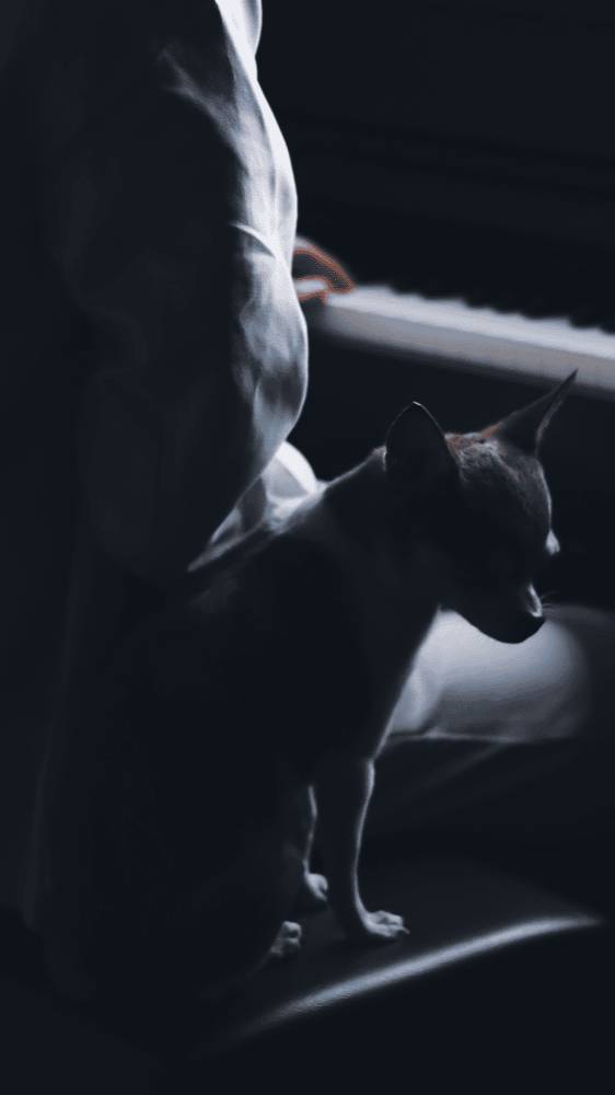 Gibran Alcocer Idea 1 смотреть онлайн