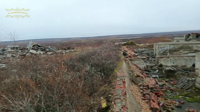 Воркута. 08.10.25. Сообразили на троих)))) смотреть онлайн