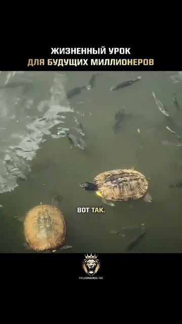 Поддержи подпиской🙏 смотреть онлайн