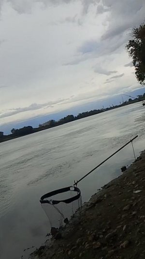 Рыбалка...река Кубань
