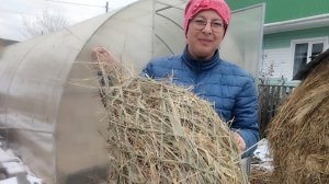 10-10-2025 Рептух для коз своими руками.