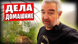 ❗️ Домашний вложик о семейных буднях, вине, огороде и готовке... ❤️👍🏻