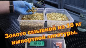 Золото смывкой из 10 кг импортной лигатуры.