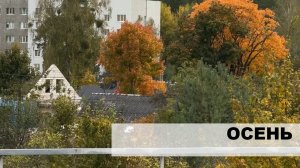 Осень в Светлогорске