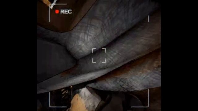 ржака в контент ворнинге