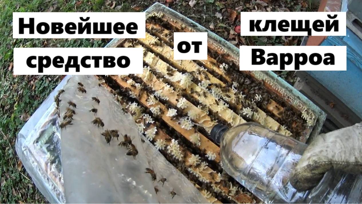 Самое безвредное средство от клещей Варроа. смотреть онлайн