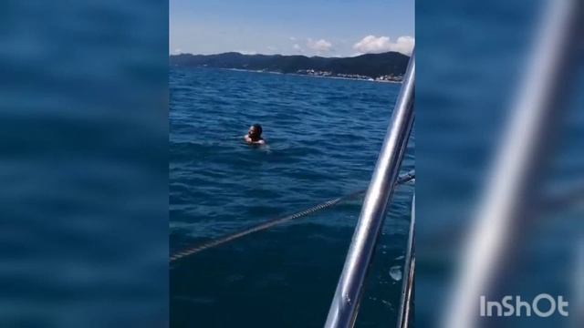 Дети и внуки Пенсионеров в отпуске в Лазаревском. Фильм создала для хранения видео и фото материалов