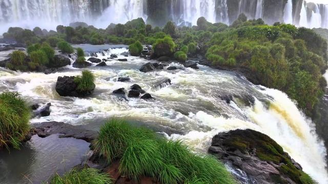 Дикие животные и природа в 4К 8К Full HD смотреть онлайн