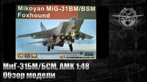 МиГ-31БМ/БСМ, AMK 1/48 обзор модели.