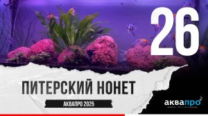 26. Питерский нонет. #АкваПро