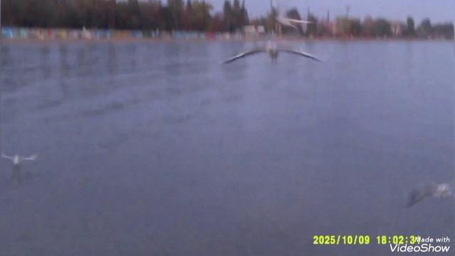 Мариуполь ⛵ морюшко 🌊 смотреть онлайн