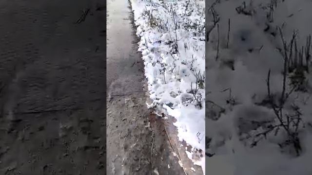 Вечер добрый всем ✌️ смотреть онлайн