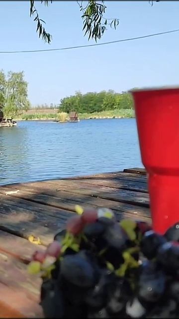 Володя освоил остров Встреча друзей Лето где ты Виноград и вино Домик на воде смотреть онлайн