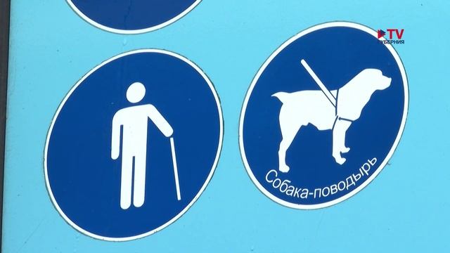 Антивандальные кресла с разъёмами: чем воронежцев удивил новый электробус смотреть онлайн