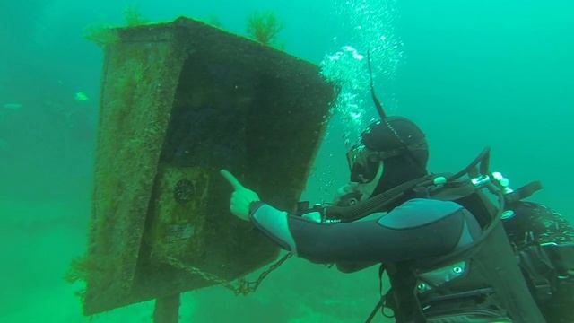 ДАЙВИНГ. ТАРХАНКУТ. КРЫМ