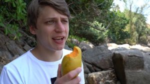 ЭКЗОТИЧЕСКИЕ ФРУКТЫ НА ГРЯДКЕ!