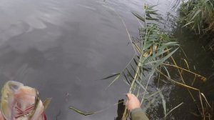 Рыбалка на щуку в Ростовской области