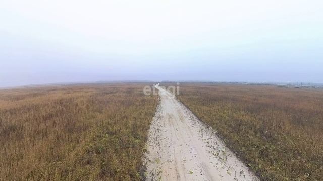 10048743 смотреть онлайн