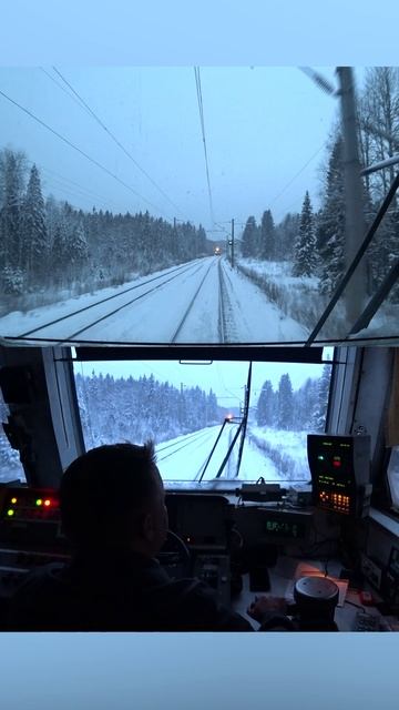Зимняя проба тормозов ❄️ электропоезд ЭД9М