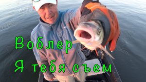 РЫБАЛКА на ВОЛГЕ. День 3. Жерех, голавль, язь.