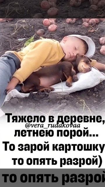 веселенькое