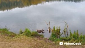 Осень на пруду!