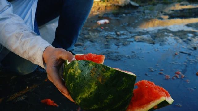 ВОЗМОЖНО ЛИ, СПАСТИ АРБУЗ ОТ ПАДЕНИЯ С 20-МЕТРОВОГО МОСТА! смотреть онлайн