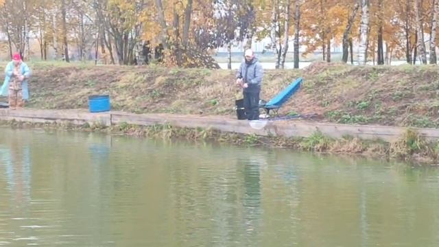 WhatsApp Video 2025-10-10 at 09.57.09 смотреть онлайн