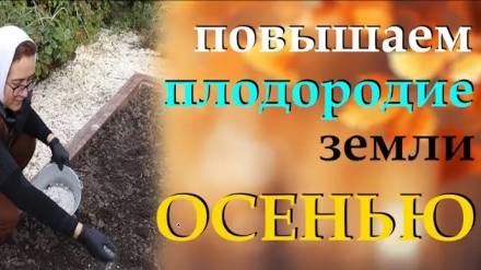 Как повысить плодородие почвы на огороде осенью. Проверенный способ от агронома смотреть онлайн