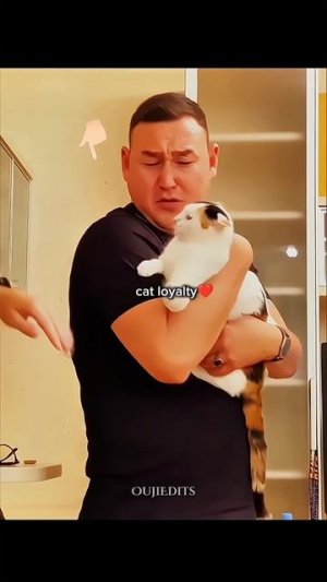 Верные животные.