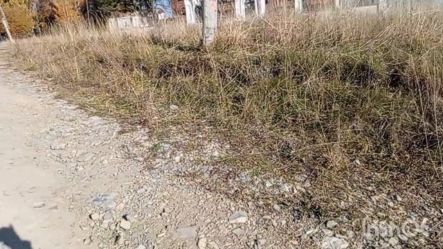 Настряпала шаньги с картошкой.Сходила насобирал шиповник. смотреть онлайн