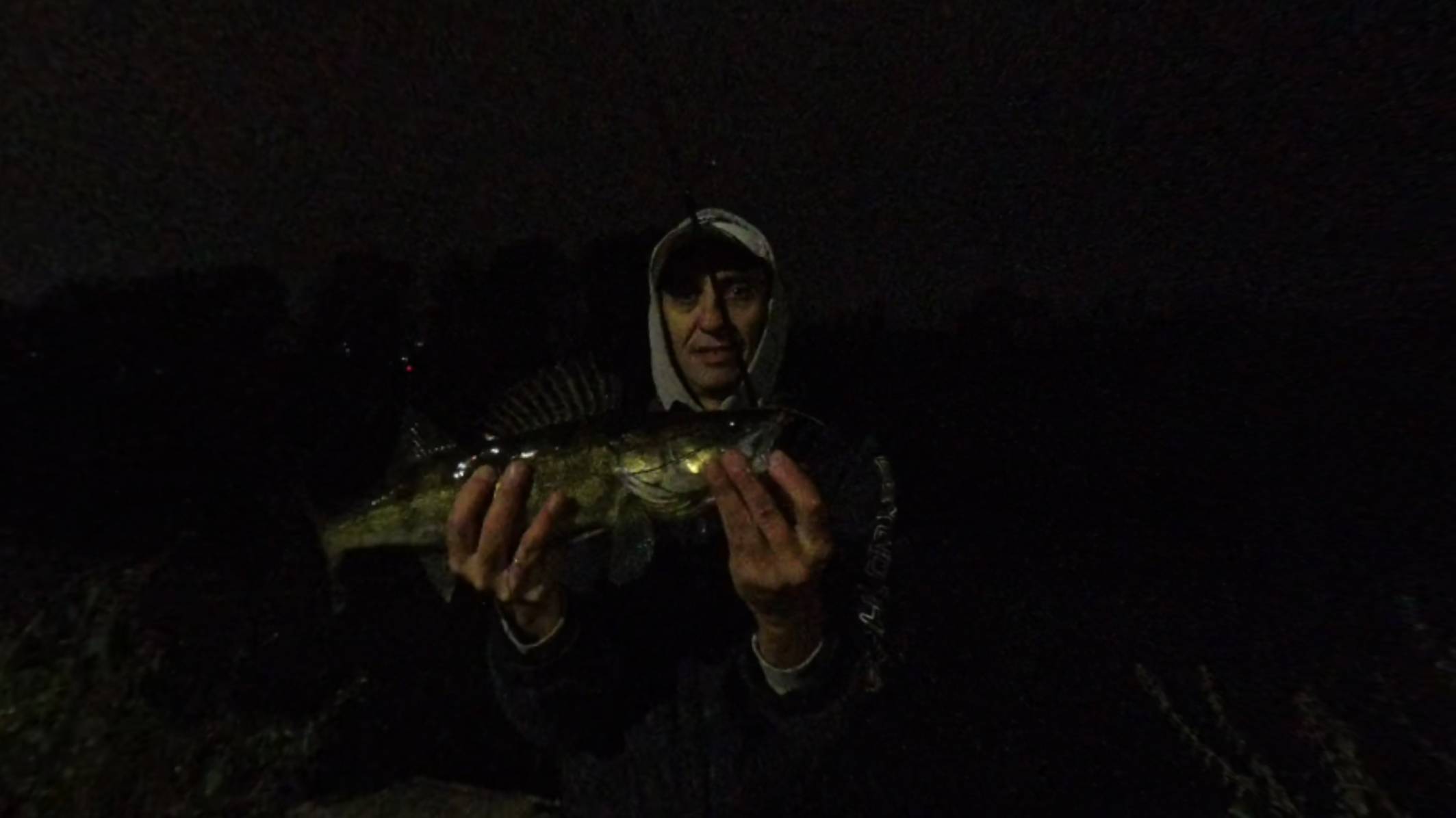 Судак на канале Москвы. Долгопрудный.