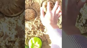 Построила из песка что?