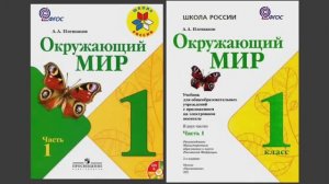 ЗАЧЕМ нужно ТАК МНОГО учебных ПОСОБИЙ по окружающему миру