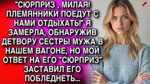 СЮРПРИЗ , МИЛАЯ!ПЛЕМЯННИКИ ПОЕДУТ СНАМИ ОТДЫХАТЬ. Я ЗАМЕРЛА, ОБНАРУЖИВ ДЕТВОРУ СЕСТРЫ МУЖА..