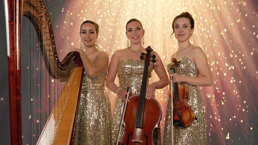 Трио арфа, скрипка, виолончель в Москве