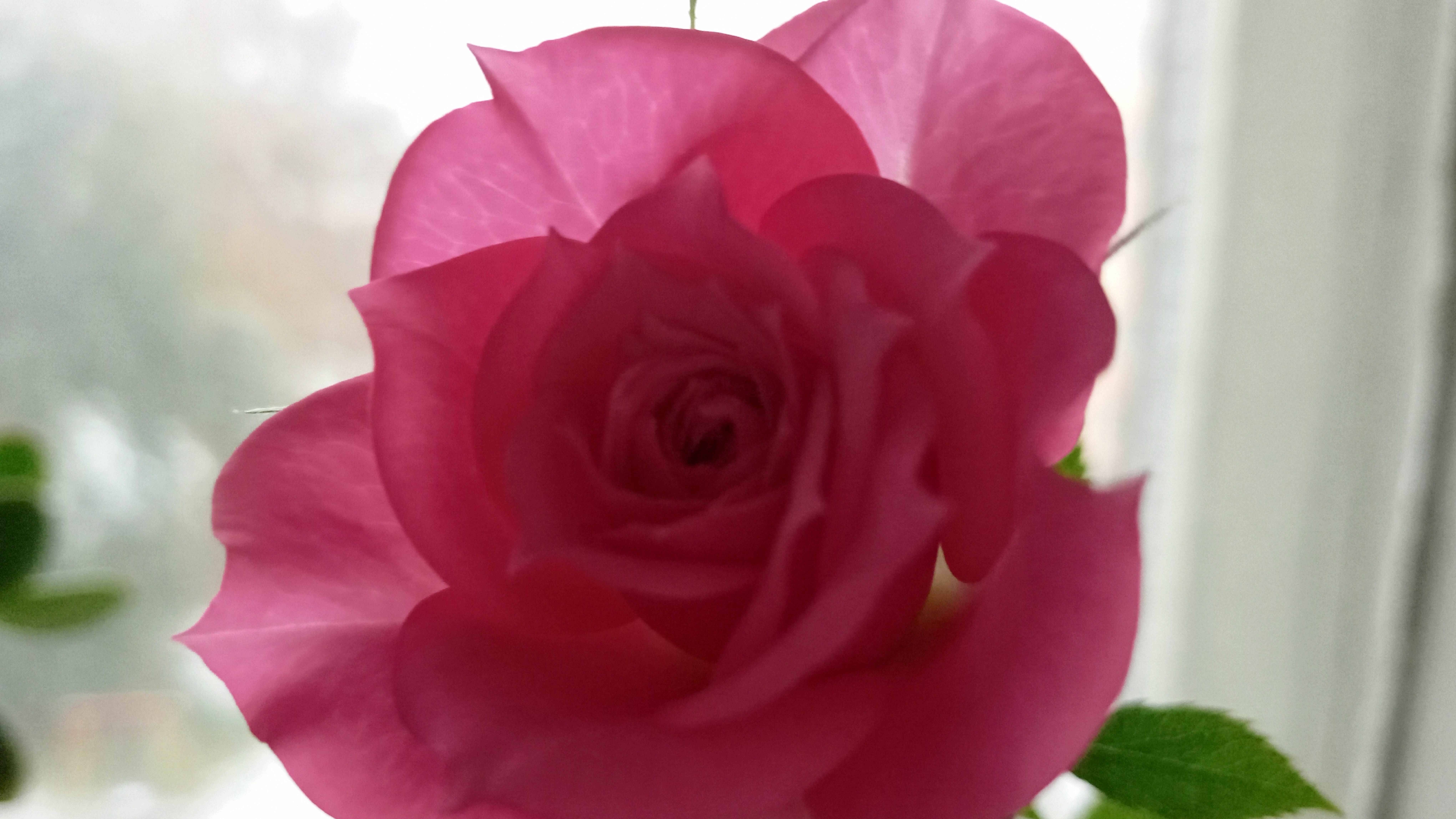 Радость жизни😁принцип долголетия👍 смотреть онлайн