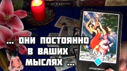 Как небеса видят вашу ситуацию? ✨ совет от вселенной... 🍁🍀гадание таро смотреть онлайн