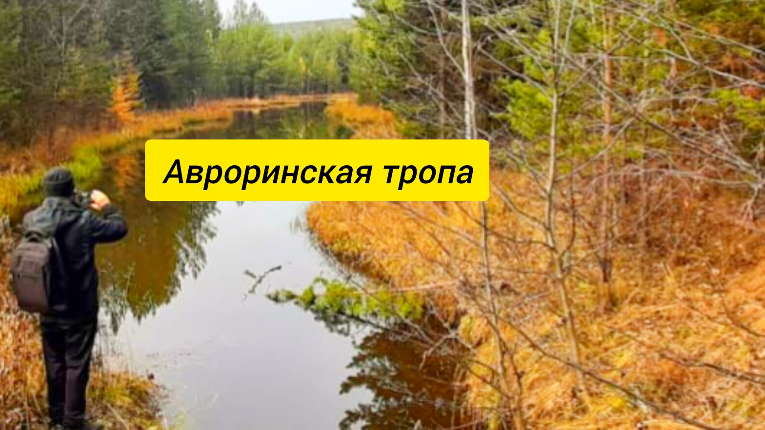 Авроринская тропа смотреть онлайн